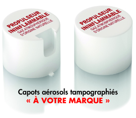 graisse nickel pour tres hautes temperatures 1200°C. anticorrosion. anti soudure. tres faible couple de desserrage apres exposition en temperature. aerosol pate antigrippante nickel, pate nickel, graisse nickel, graisse nickel haute temperature, pate d'assemblage nickel. graisse haute temperature. graisse très haute temperature. fournisseurs graisses techniques. fournisseurs graisses industrielles. fournisseurs lubrifiants industriels. fabricants graisses techniques. fabricants graisses industrielles. fabricants lubrifiants industriels. Graisse nickel aerosol